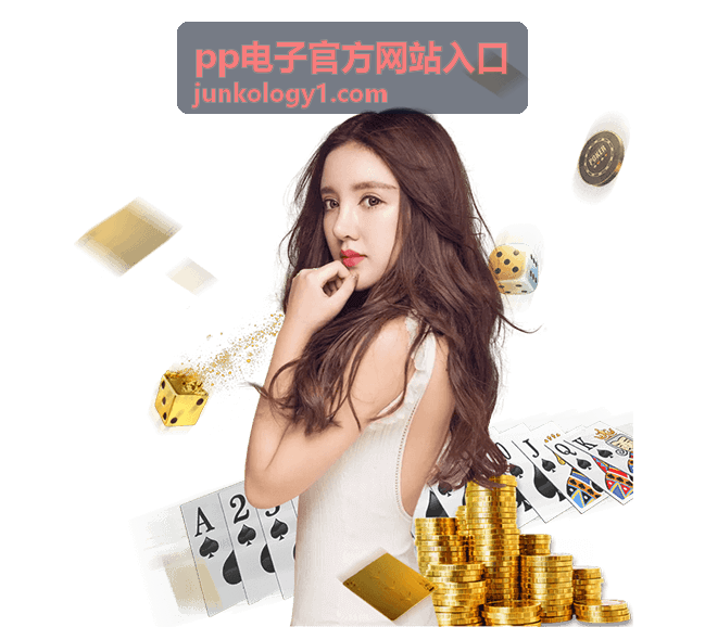 pp电子官方网站入口版本更新与异常处理指南封面图